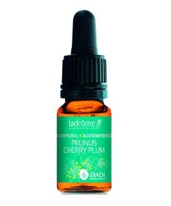 Prunus - Cherry Plum (n°6) BIO, 10 ml